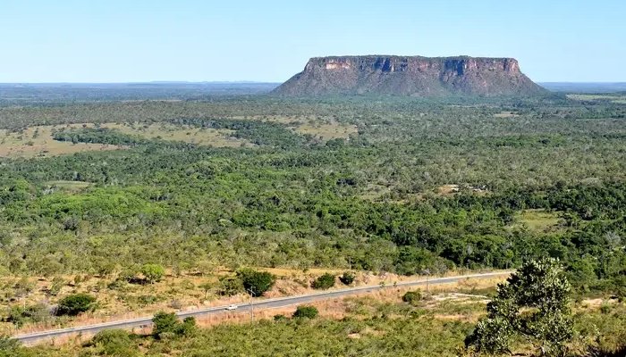 Grasslands vanish at rapid rate, global study finds