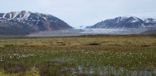 udy Confirms Arctic Peatlands Are Expanding