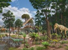 Defenceless Babies And Very Young Sauropods Were Widely Consumed By Predators In The Late Jurassic