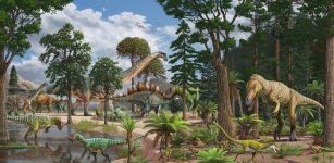 Defenceless Babies And Very Young Sauropods Were Widely Consumed By Predators In The Late Jurassic