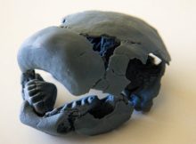 New Pieces Link Fish Puzzle - A New Study