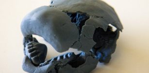 New Pieces Link Fish Puzzle - A New Study