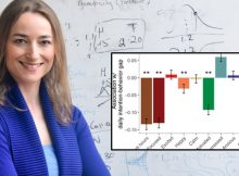 Peak Mental Sharpness Could Be Like Getting In An Extra 40 Minutes Of Work Per Day, Study Finds