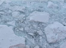 Rapid Antarctic Sea Ice Melt Largely Driven By Ocean Warming
