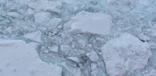 Rapid Antarctic Sea Ice Melt Largely Driven By Ocean Warming