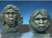 New Findings Rewrite Our Understanding Of Early Hominin Dispersal From Africa To Eurasia