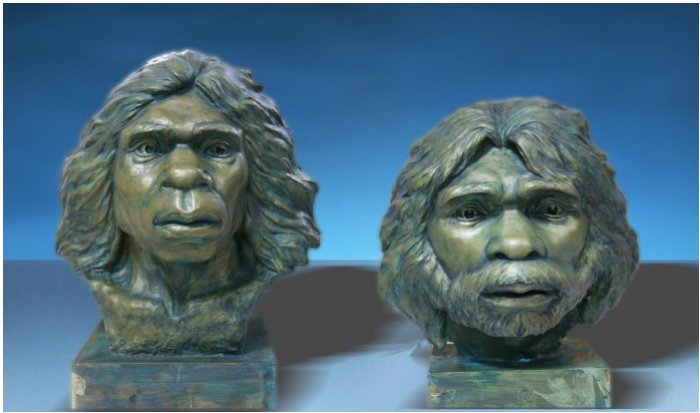 New Findings Rewrite Our Understanding Of Early Hominin Dispersal From Africa To Eurasia