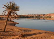 An Oasis Lake In Chad: 10,800 Years Of Precipitation History In The Sahara