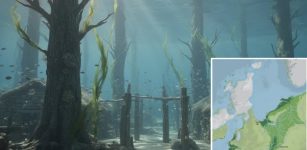 Doggerland's Secrets Revealed: Evidence Of An Ice Age Forest Beneath The North Sea