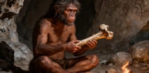Intriguing Fossil Found At The Azmaka Site Could Rewrite Human Evolution, Scientists Say