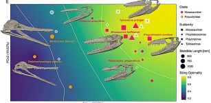 Researchers Replicate The Bite Of Ancient Marine Predators