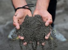 How Europe Can Use Emissions Trading To Manage Carbon Removals