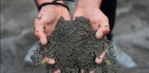 How Europe Can Use Emissions Trading To Manage Carbon Removals