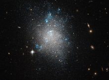 What If Dark Matter Came In Two States?