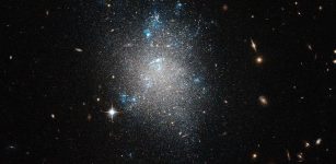 What If Dark Matter Came In Two States?