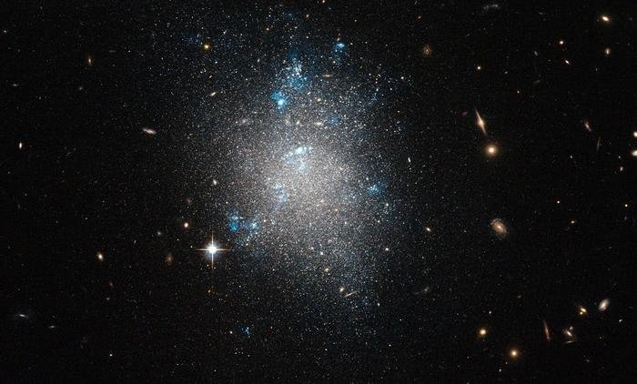 What If Dark Matter Came In Two States?
