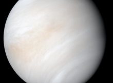 Cosmic Dust - The Source Of Venus' Enigmatic Lower Haze