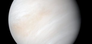 Cosmic Dust - The Source Of Venus' Enigmatic Lower Haze