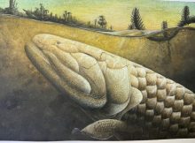 Ancient Gondwana Fossil From Antarctica - New Study
