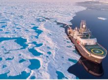 Climate Change Has Disrupted Vital Food Chain Of Arctic Ocean