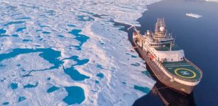 Climate Change Has Disrupted Vital Food Chain Of Arctic Ocean