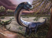 ‘Last Titan’: Southeast Asia’s Biggest Dinosaur Discovered