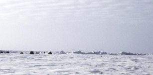 Ice May Release More Iron Than Climate Models Predict - Study From Umeå University