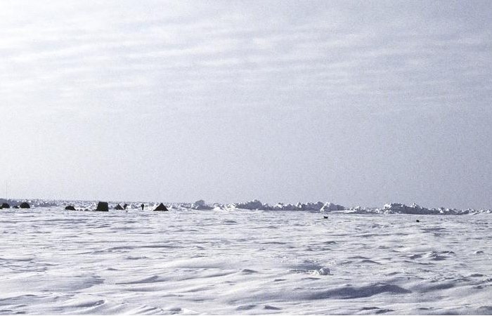 Ice May Release More Iron Than Climate Models Predict - Study From Umeå University