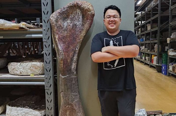 ‘Last Titan’: Southeast Asia’s Biggest Dinosaur Discovered