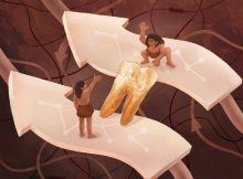 New Clues About A Potential Connection Between Homo Erectus And Modern Humans