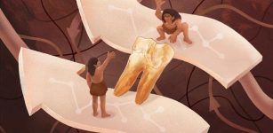 New Clues About A Potential Connection Between Homo Erectus And Modern Humans