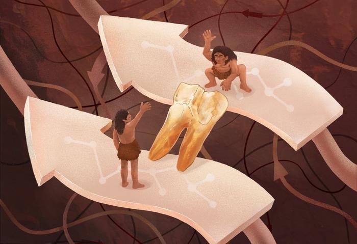 New Clues About A Potential Connection Between Homo Erectus And Modern Humans