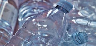 Eco-Friendly Upcycling Method That Breaks Down Plastic Waste Quickly And Easily