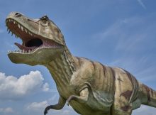 Why Did Meat-Eating Dinosaurs Like T. Rex Have Such Tiny Arms?