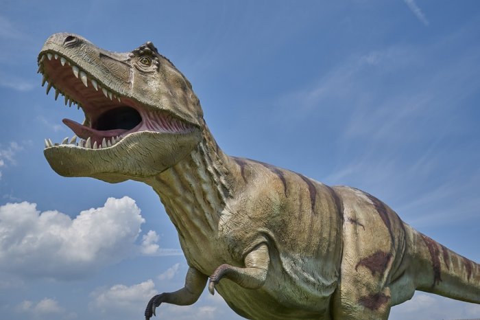 Why Did Meat-Eating Dinosaurs Like T. Rex Have Such Tiny Arms?