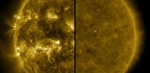 Systematic Changes In Solar Activity Over The Last 40 Years Revealed By The Sun's Tiny Sound Waves