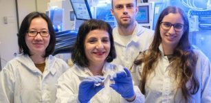 Almost Invisible, Very Thin Solar Cells That Could Make Windows Generate Power