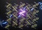 Harvesting UV Light From Sunlight Just Got ‘Solid’