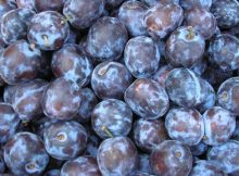 Not All Five-A-Days Are Equal For Heart Health