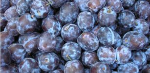 Not All Five-A-Days Are Equal For Heart Health