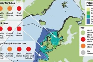 Plankton Decline Across North East Atlantic - Stark Warning For Ocean Health