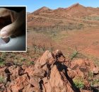 Scientists Have Now Precisely Dated The Oldest Known Asteroid Impact On Earth To 3 Billion Years Ago