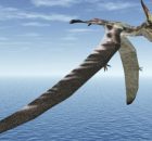 Fossilized Wing Of A Prehistoric Pterosaur Just Rewrote The Fossil Rulebook