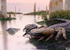 Praearcturus Gigas: The Biggest Scorpion Ever Revealed by 415-Million-Year-Old Fossils