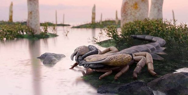 Praearcturus Gigas: The Biggest Scorpion Ever Revealed by 415-Million-Year-Old Fossils
