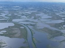 Arctic River Deltas At Risk: Rapid climate change Threatens Carbon Storage Function