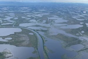 Arctic River Deltas At Risk: Rapid climate change Threatens Carbon Storage Function
