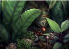 Dinosaurs Probably Ate Much More Fruit And Seeds Than We Used To Think
