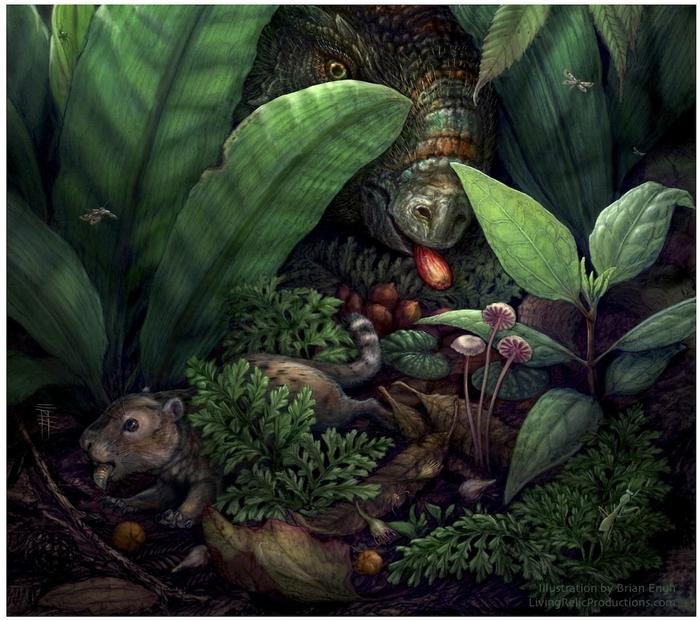 Dinosaurs Probably Ate Much More Fruit And Seeds Than We Used To Think