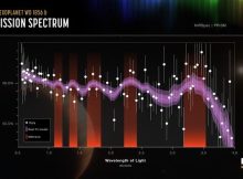 How Giant Planet Survived Its Star’s Death
